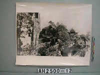 藏品(紹興柯巖照片)的圖片